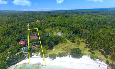 2 Houses with White Sand Beach Camotes Islands, Cebu for sale in Himensulan