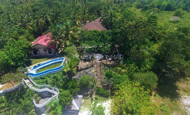 2 Houses with White Sand Beach Camotes Islands, Cebu for sale in Himensulan