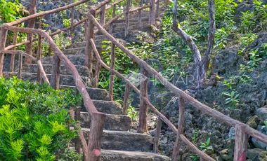 2 Houses with White Sand Beach Camotes Islands, Cebu for sale in Himensulan