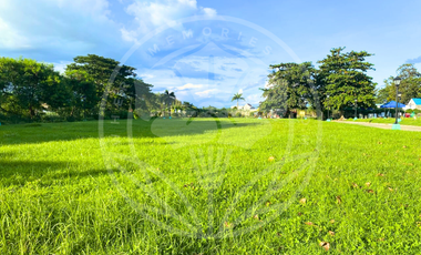 [Pre-Selling Memorial Lot] Legacy Lot in GTH-Parks & Gardens, Gapan City, N.E.