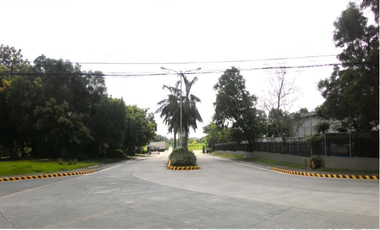 1 hectare Industrial Lot in Santa Rosa Laguna for Rent