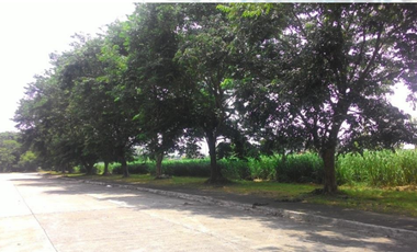 1 hectare Industrial Lot in Santa Rosa Laguna for Rent