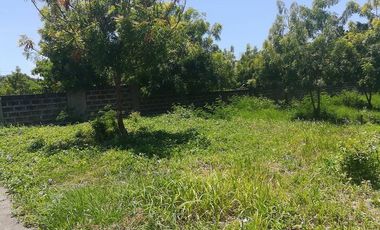 Property # 165 Lot for sale in L1 Blk 77 Vista Mar, Lapu-Lapu City