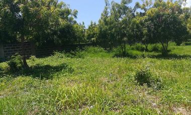 Property # 165 Lot for sale in L1 Blk 77 Vista Mar, Lapu-Lapu City