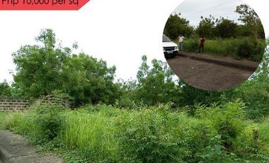 Property # 165 Lot for sale in L1 Blk 77 Vista Mar, Lapu-Lapu City