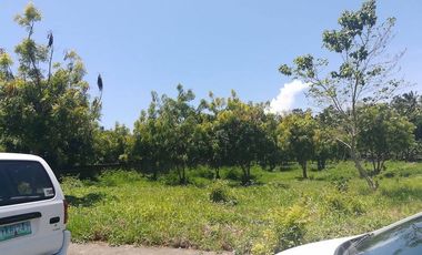 Property # 165 Lot for sale in L1 Blk 77 Vista Mar, Lapu-Lapu City