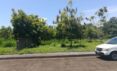 Property # 165 Lot for sale in L1 Blk 77 Vista Mar, Lapu-Lapu City
