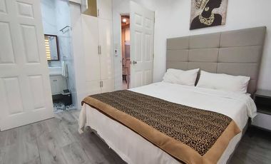 Beautiful Modern House & Lot with pool for Rent in Angeles City near Clark