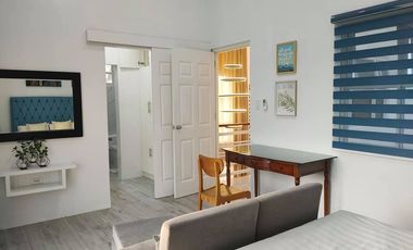 Beautiful Modern House & Lot with pool for Rent in Angeles City near Clark