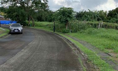 For Sale Ayala Greenfield Estates Land at Calamba, Laguna