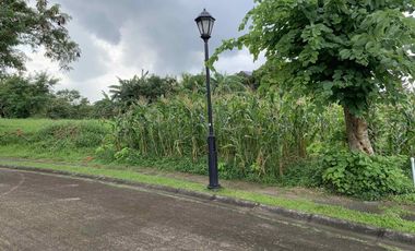 For Sale Ayala Greenfield Estates Land at Calamba, Laguna