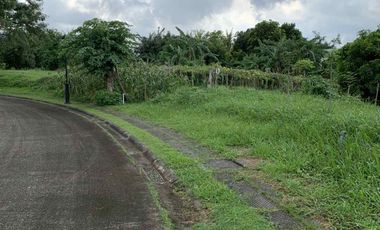 For Sale Ayala Greenfield Estates Land at Calamba, Laguna