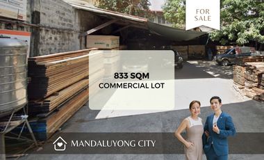 Commercial Land for sale in Metro Manila, Mandaluyong City