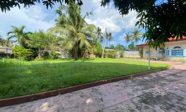 Big House with Pool for Sale - Lot area 3,500 sqm - Yati Liloan