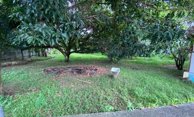 Big House with Pool for Sale - Lot area 3,500 sqm - Yati Liloan