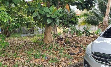 For Sale 150 sqm Lot in Hacienda Grande Subd. Catalunan Grande Davao City