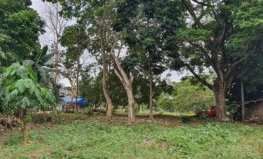 For Sale 150 sqm Lot in Hacienda Grande Subd. Catalunan Grande Davao City
