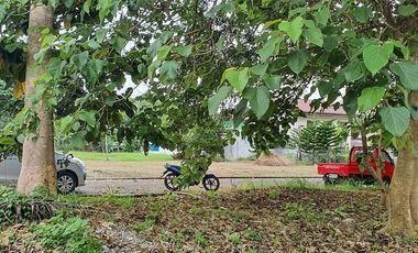 For Sale 150 sqm Lot in Hacienda Grande Subd. Catalunan Grande Davao City