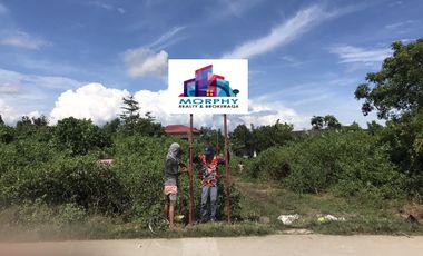 PROPERTY # 11441 - Lot for sale in Agus lapu-lapu