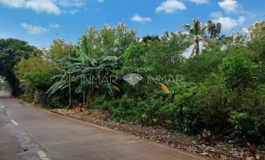 Along the Road Lot with a Building Permit for Sale in Camotes Islands, Cebu