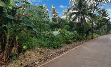 Along the Road Lot with a Building Permit for Sale in Camotes Islands, Cebu