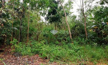 Along the Road Lot with a Building Permit for Sale in Camotes Islands, Cebu