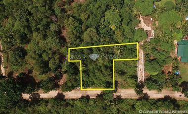 Along the Road Lot with a Building Permit for Sale in Camotes Islands, Cebu