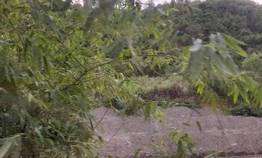 For Sale Lot In San Isidro Rodriguez Rizal