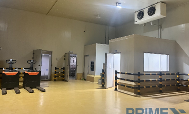 New Cold Storage Facility for Rent in Manduae City, Cebu