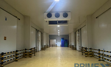 New Cold Storage Facility for Rent in Manduae City, Cebu