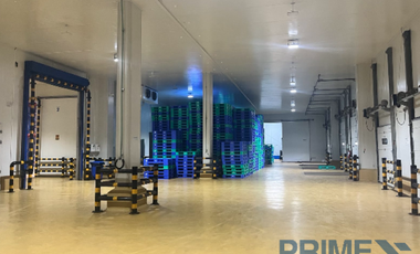 New Cold Storage Facility for Rent in Manduae City, Cebu