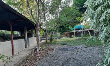 Farm Lot with House for Sale in Nueva Ecija, Cabiao