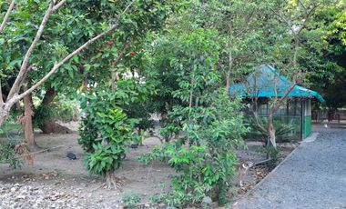 Farm Lot with House for Sale in Nueva Ecija, Cabiao