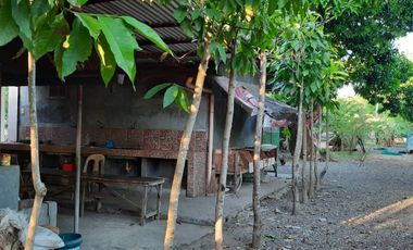 Farm Lot with House for Sale in Nueva Ecija, Cabiao