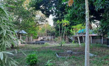 Farm Lot with House for Sale in Nueva Ecija, Cabiao