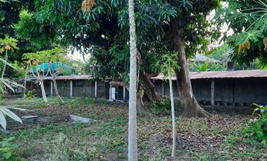 Farm Lot with House for Sale in Nueva Ecija, Cabiao