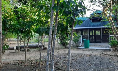 Farm Lot with House for Sale in Nueva Ecija, Cabiao