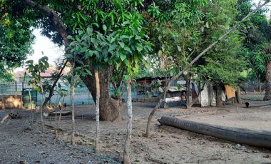 Farm Lot with House for Sale in Nueva Ecija, Cabiao