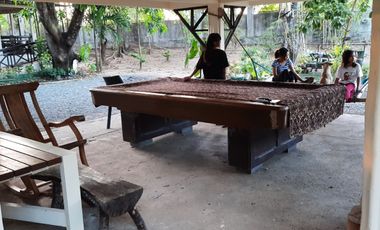 Farm Lot with House for Sale in Nueva Ecija, Cabiao