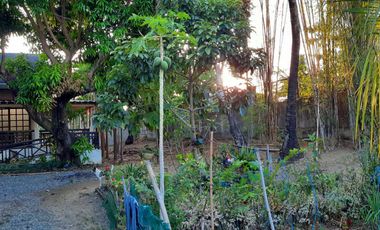 Farm Lot with House for Sale in Nueva Ecija, Cabiao