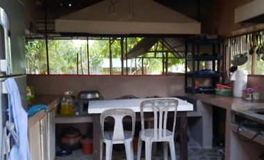 Farm Lot with House for Sale in Nueva Ecija, Cabiao