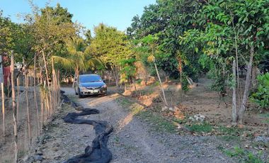 Farm Lot with House for Sale in Nueva Ecija, Cabiao