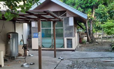 Farm Lot with House for Sale in Nueva Ecija, Cabiao