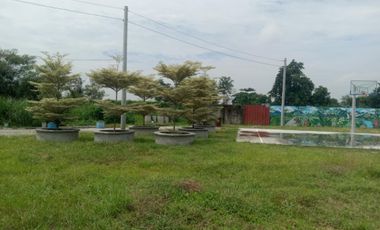 LOT ONLY in Serene Royale Residences Capas Tarlac