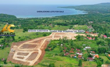 169 sqm RESIDENTIAL LOT FOR SALE in LAZI, SIQUIJOR INSIDE BOQUIDA SUBDIVISION