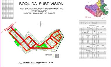 169 sqm RESIDENTIAL LOT FOR SALE in LAZI, SIQUIJOR INSIDE BOQUIDA SUBDIVISION