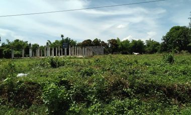 Developers' Choice! Prime Lot Between SM City and Robinsons Mall Tuguegarao for Sale