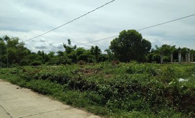 Developers' Choice! Prime Lot Between SM City and Robinsons Mall Tuguegarao for Sale