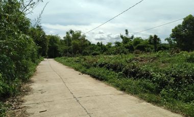 Developers' Choice! Prime Lot Between SM City and Robinsons Mall Tuguegarao for Sale