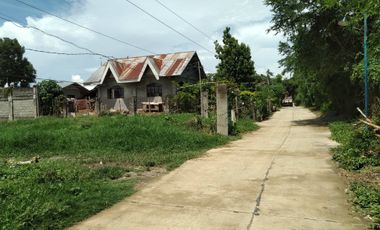 Developers' Choice! Prime Lot Between SM City and Robinsons Mall Tuguegarao for Sale